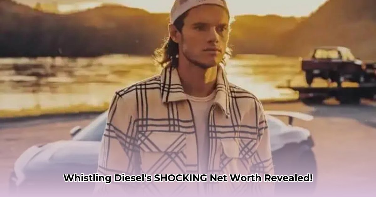whistling-diesel-s-net-worth